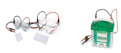 Horizontal and Vertical Electrophoresis unit